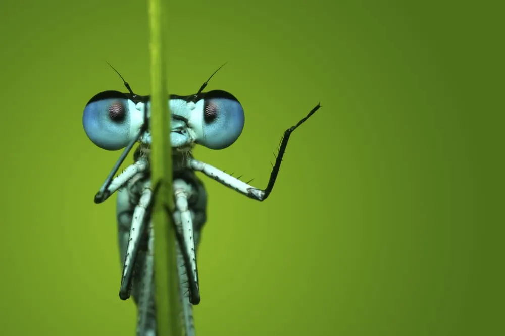 Expert yard cleanup service in Austin, TX - Great Western Corporation