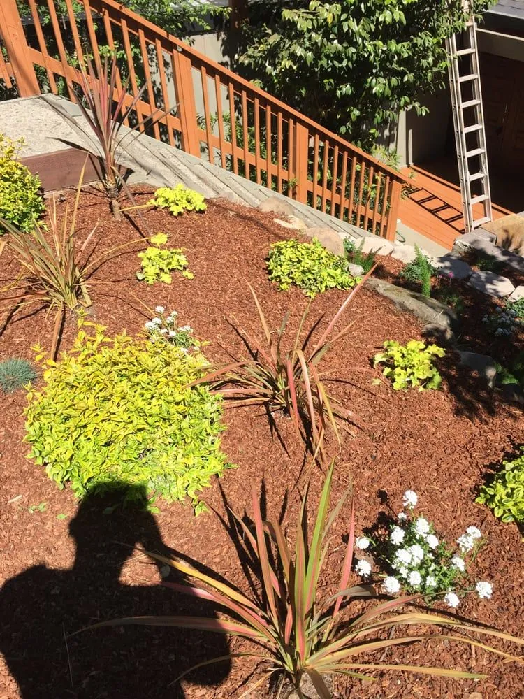 Trusted lawn care service in Rowlett, TX - Great White Landscape