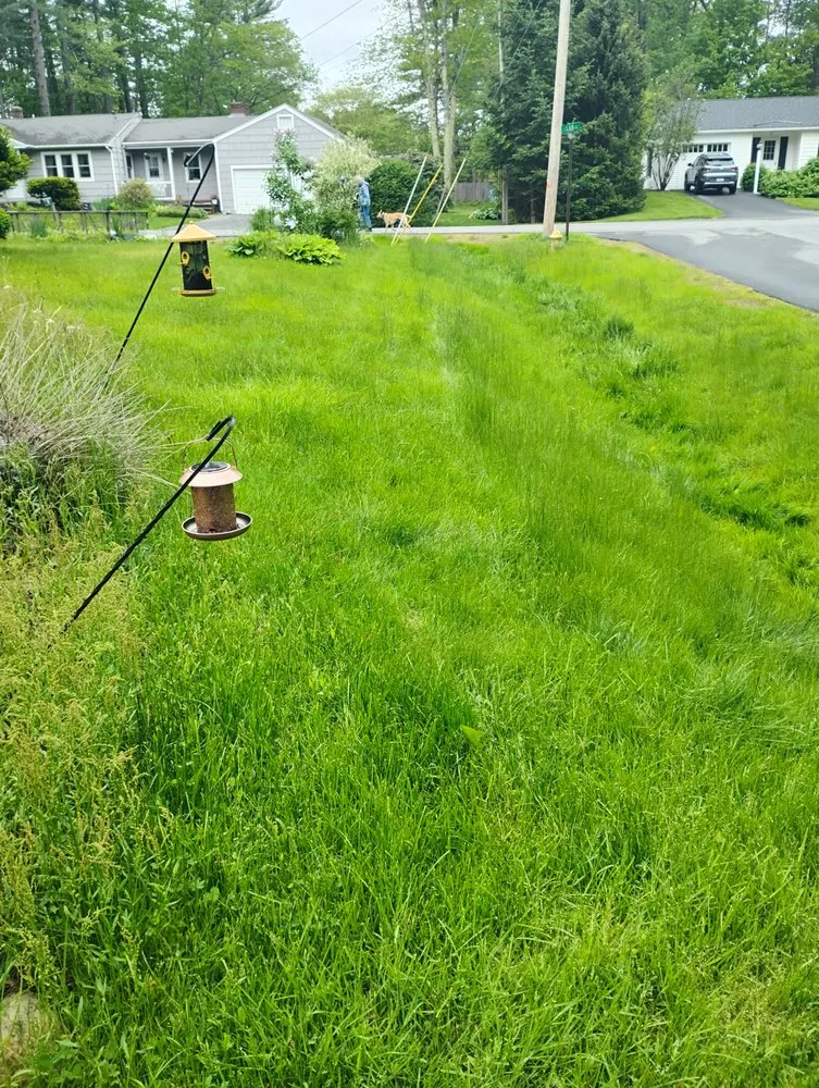 Local yard cleanup service for year-round maintenance across Topsham, ME - Great Works Enterprises