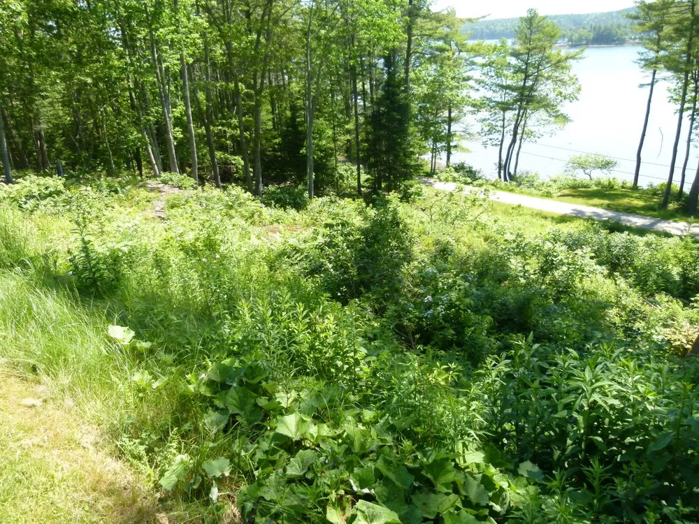 Custom lawn mowing service in Bath, ME - Great Works Landscape