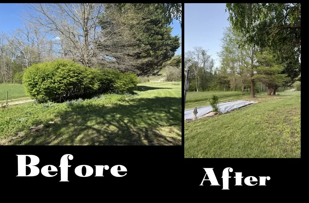 Expert garden landscaping experts serving Charlottesville, VA - Greater Days