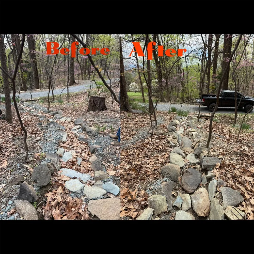 Affordable landscape design in Charlottesville, VA - Greater Days