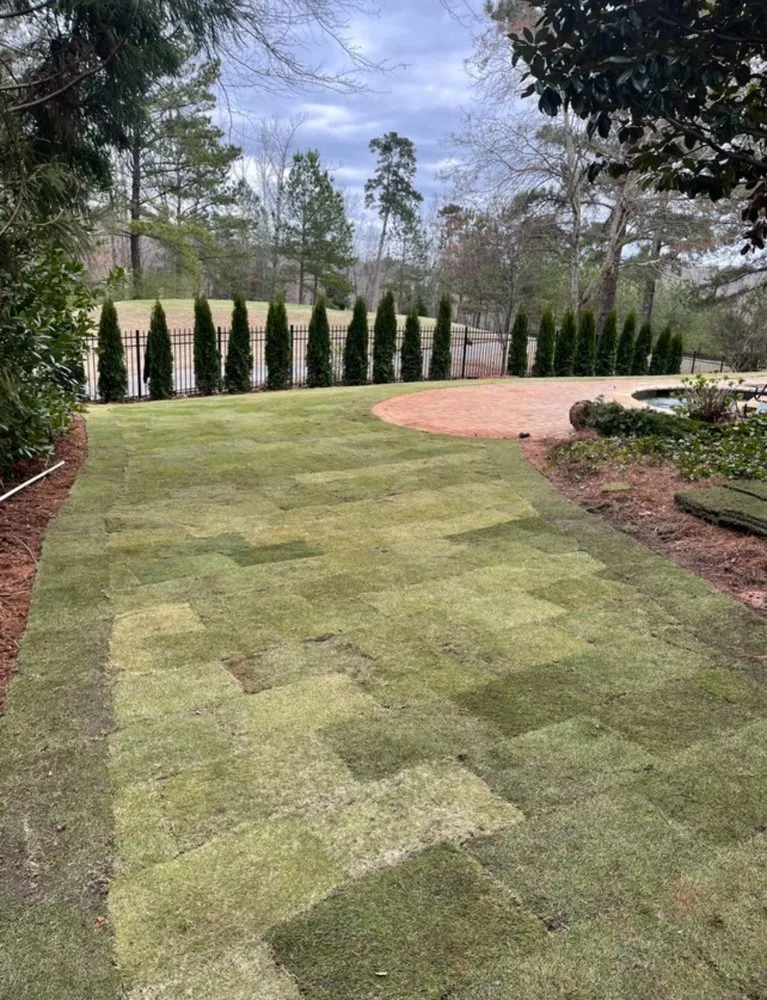 Reliable lawn care service for year-round maintenance across Atlanta, GA - Greater Development Group