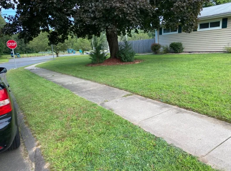 Affordable garden landscaping in Springfield, MA - Greater Green Landscaping