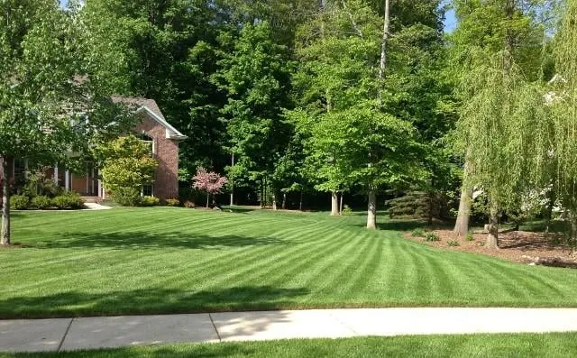 Top-rated landscape installation in Lansing, MI by Greater Lansing Lawn Pros