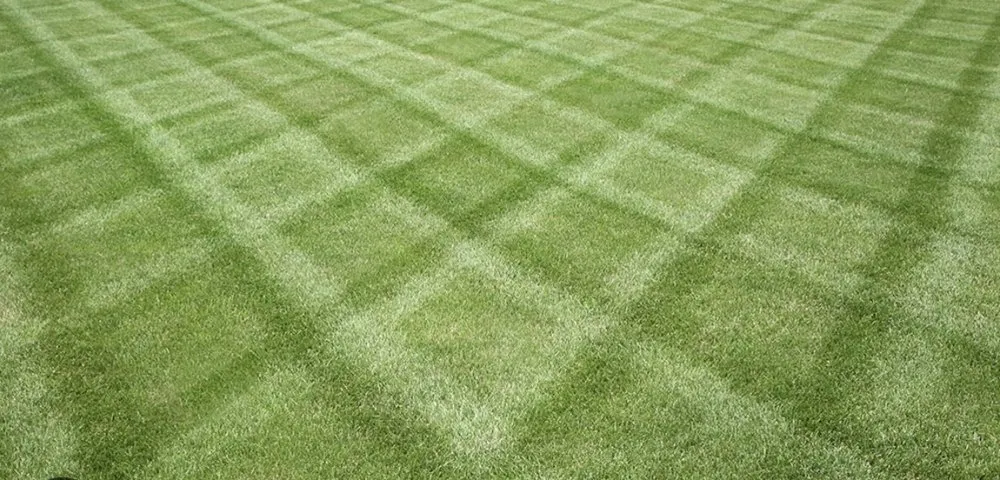 Top-rated residential landscaping for residential properties across Des Moines, IA - Greater Lowa Lawn Care