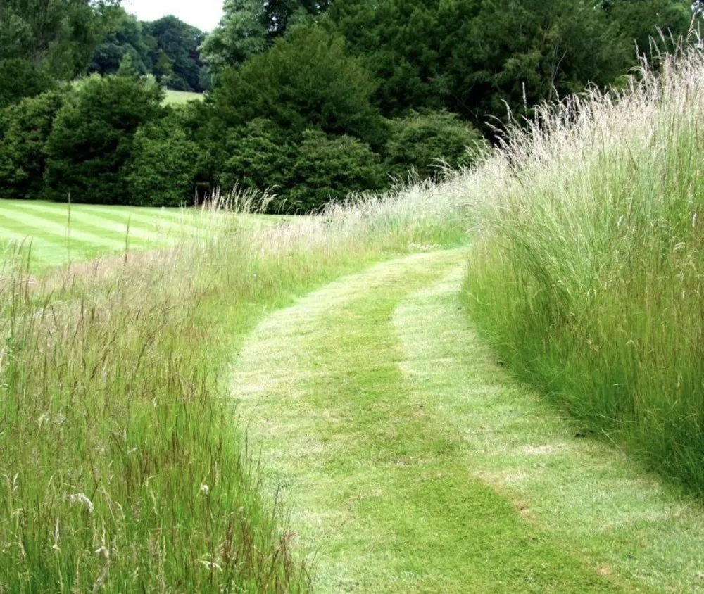 Reliable yard cleanup service experts serving Des Moines, IA - Greater Lowa Lawn Care