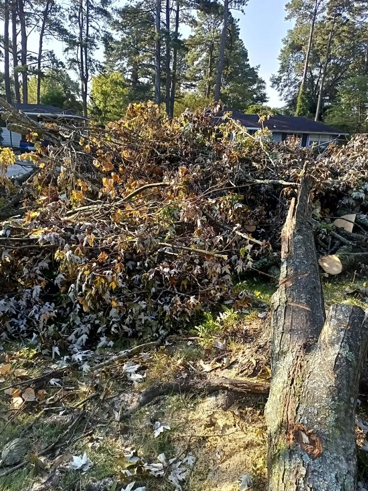 Custom residential landscaping in North Little Rock, AR - Greater New Look Lawn Service