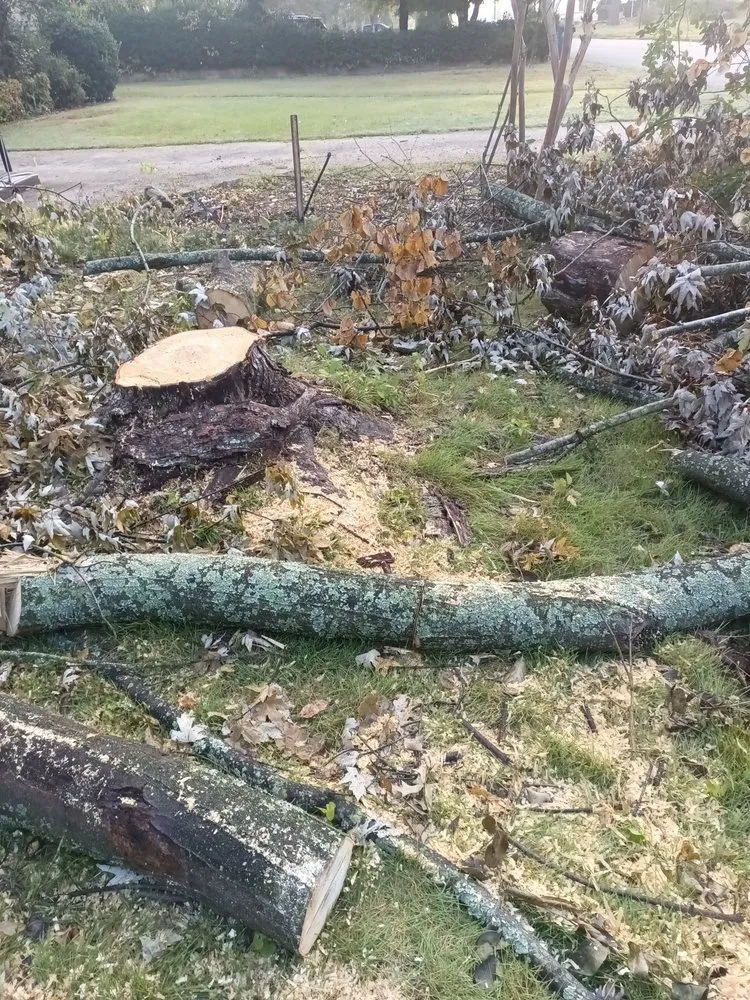 Reliable yard maintenance in North Little Rock, AR by Greater New Look Lawn Service