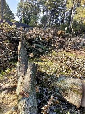 Greater New Look Lawn Service Logo