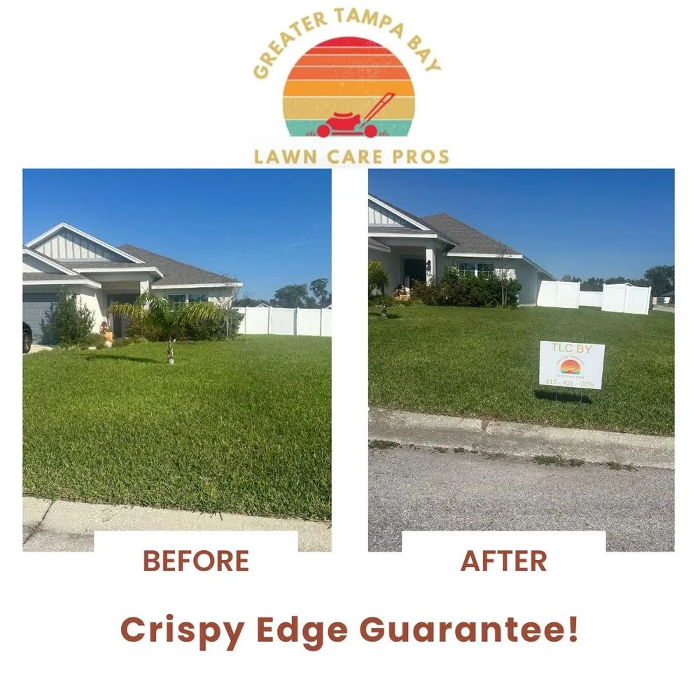 Local yard maintenance in Zephyrhills, FL by Greater Tampa Bay Lawn Care Pros