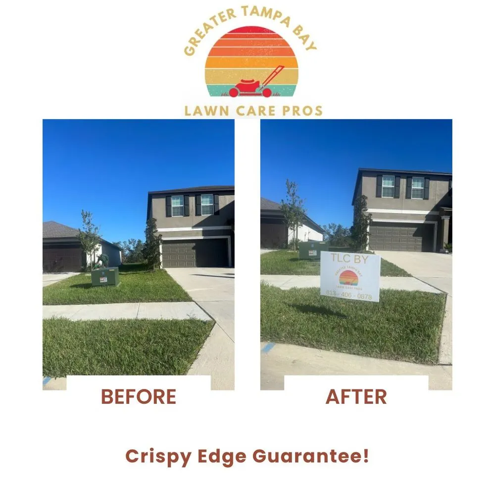 Reliable landscape design in Zephyrhills, FL by Greater Tampa Bay Lawn Care Pros