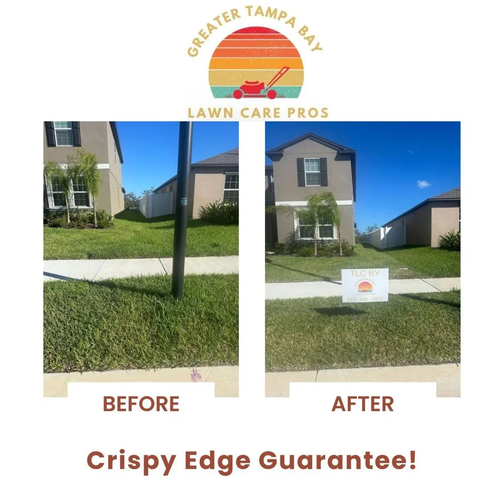 Expert outdoor landscaping in Zephyrhills, FL - Greater Tampa Bay Lawn Care Pros