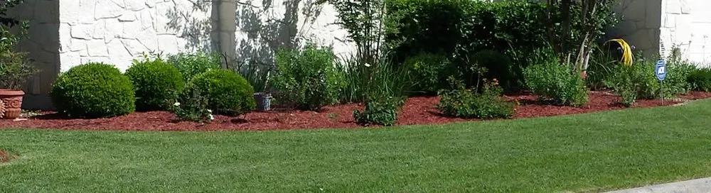 Affordable lawn care service for homes across Weatherford, TX - Greater Texas Lawn Care