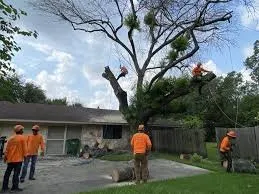 Trusted garden landscaping for beautiful yards in Dunwoody, GA by Greater Vinestone Group