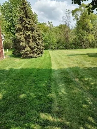 Expert landscape installation for year-round maintenance across Ashland, VA - Greater Yards