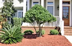 Top-rated lawn mowing service for outdoor upgrades in Charleston, SC by Greatest Scapes Landscaping