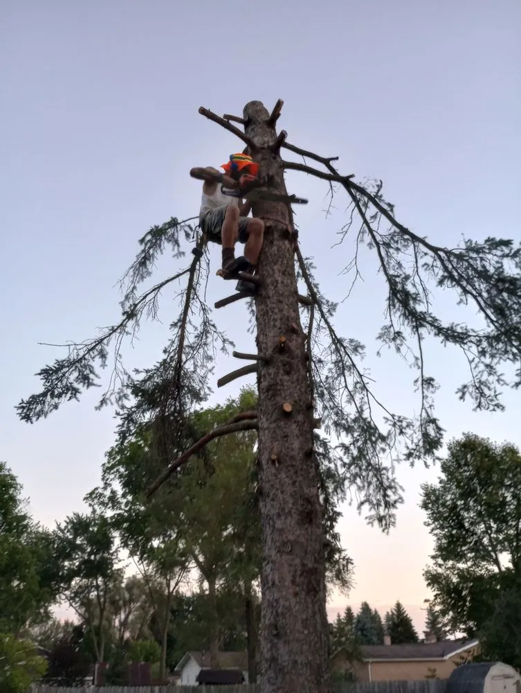 Expert landscape installation for homes across West Branch, MI - Greatful Gladiator Lawncare