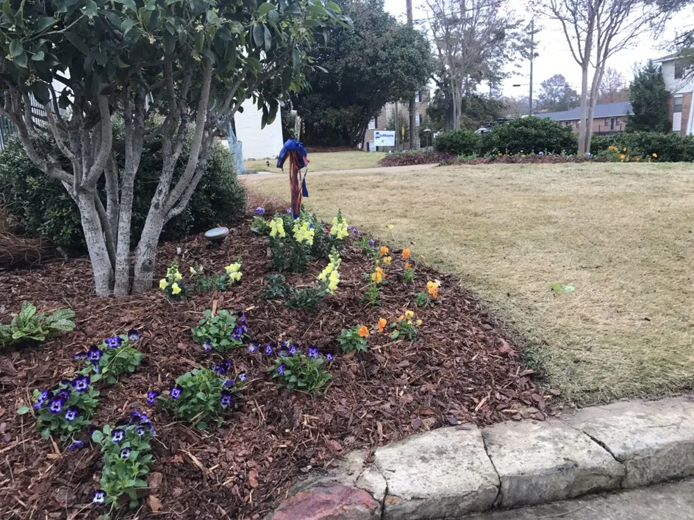 Professional yard cleanup service near you across Auburn, AL - Greatfully Green Landscapes