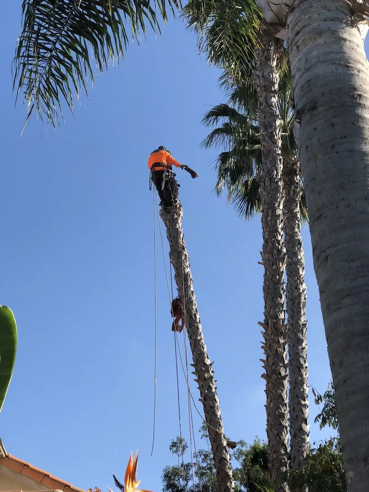Reliable landscape installation with custom design across Corona, CA - Greatland Landscape
