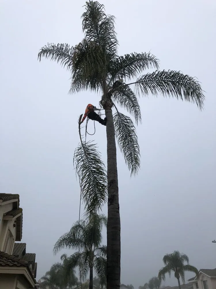 Affordable landscape installation near you in Corona, CA by Greatland Landscape