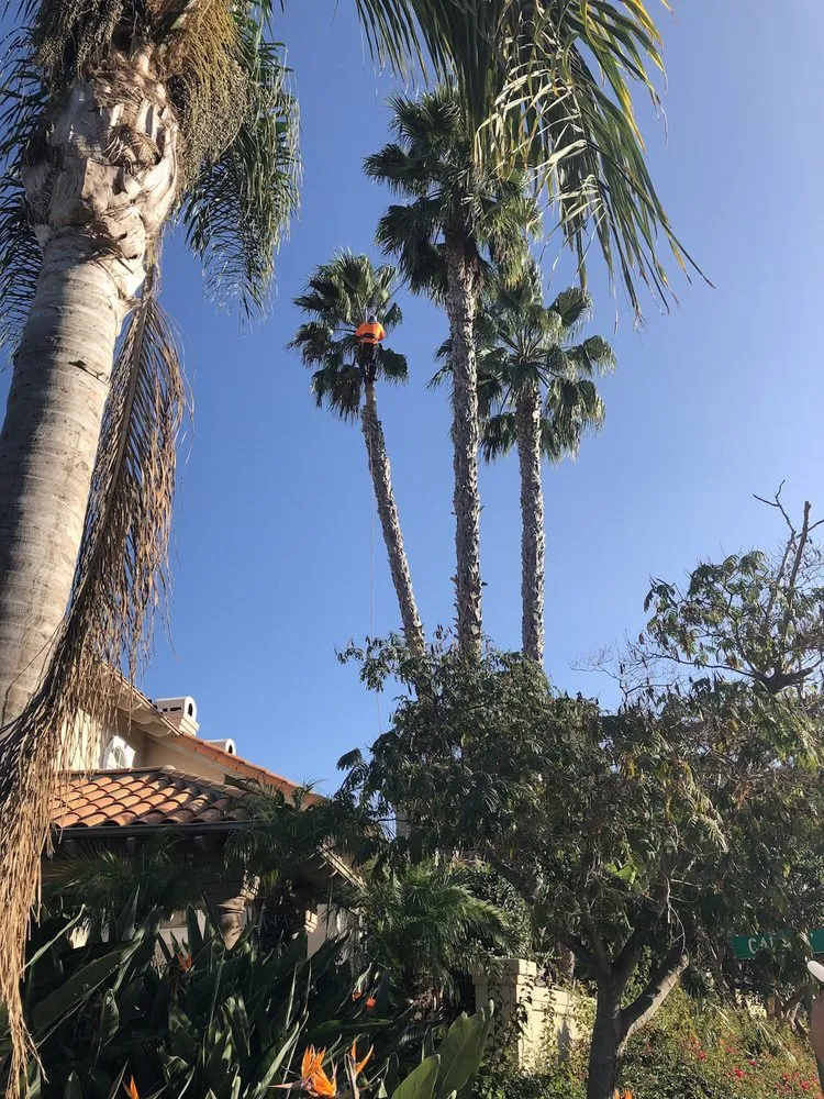 Local garden landscaping in Corona, CA - Greatland Landscape