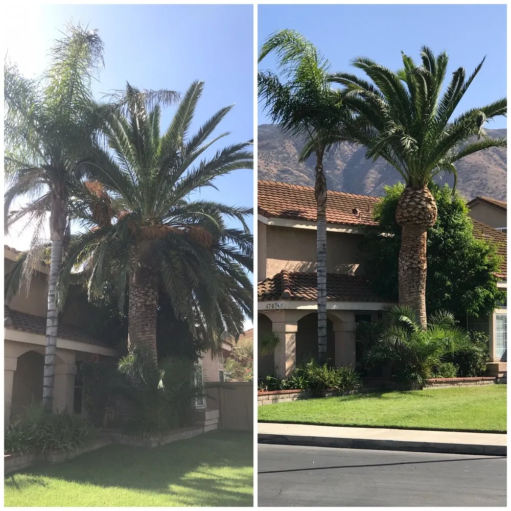 Affordable lawn care service for beautiful yards across Corona, CA - Greatland Landscape