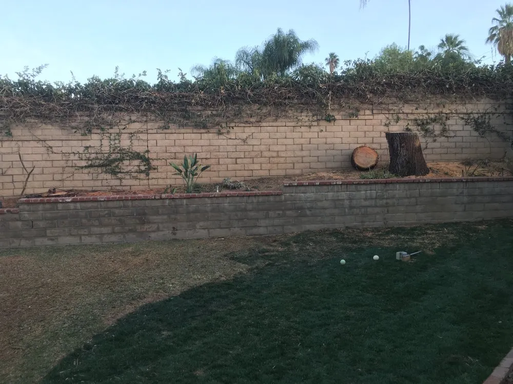 Reliable landscape design in Corona, CA by Greatland Landscape