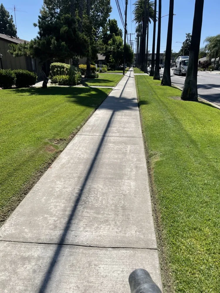 Custom yard maintenance near you across Corona, CA - Greatland Landscape