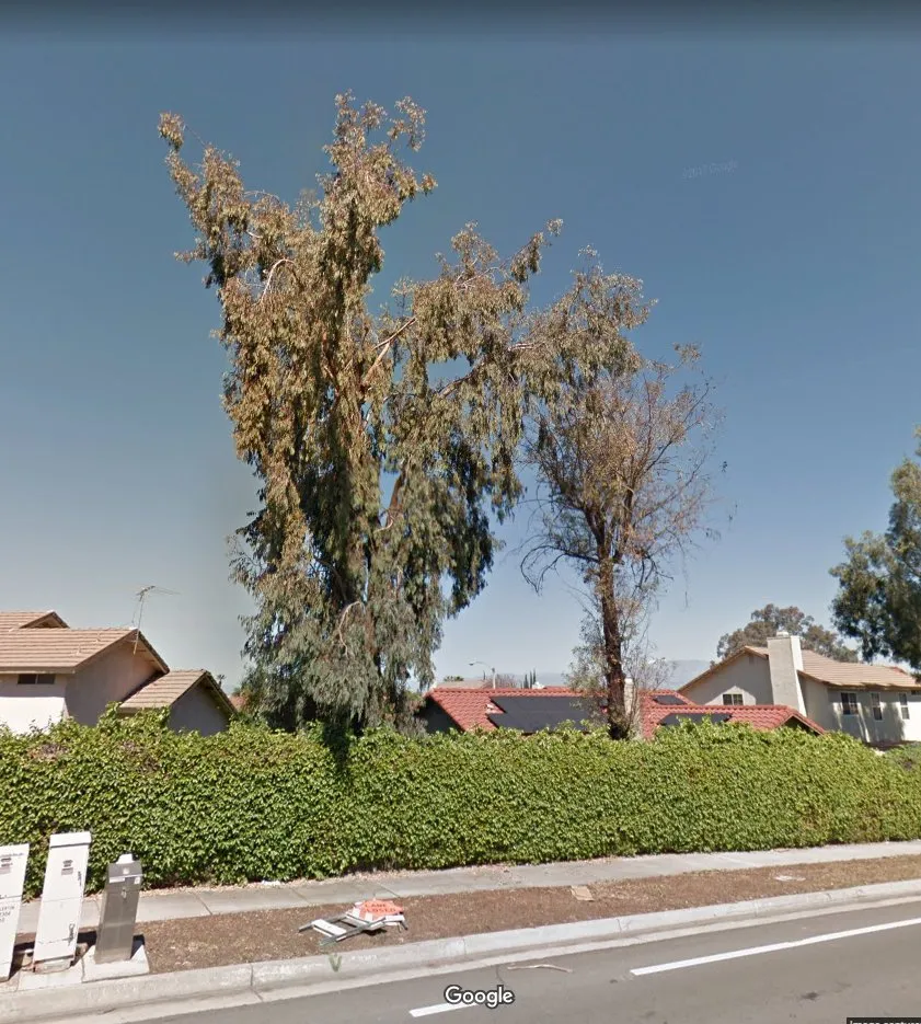 Affordable residential landscaping in Corona, CA - Greatland Landscape