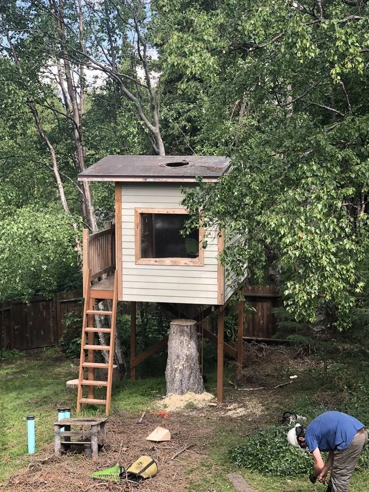 Trusted landscape installation for year-round maintenance across Anchorage, AK - Greatland Tree Service