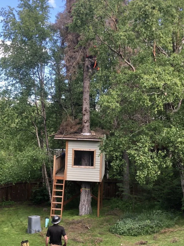 Trusted residential landscaping experts serving Anchorage, AK - Greatland Tree Service