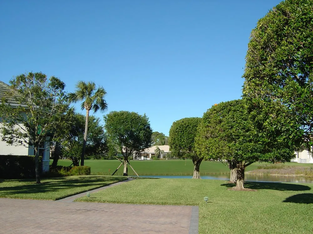 Professional yard cleanup service experts serving Anchorage, AK - Greatland Tree Service