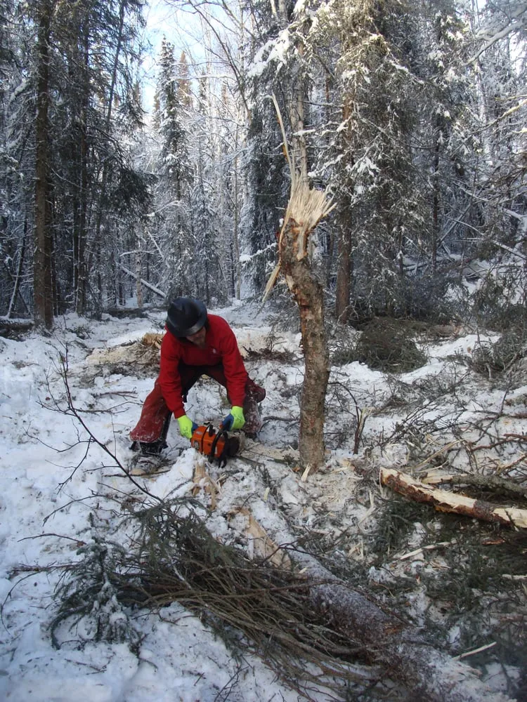 Affordable landscape installation in Anchorage, AK by Greatland Tree Service