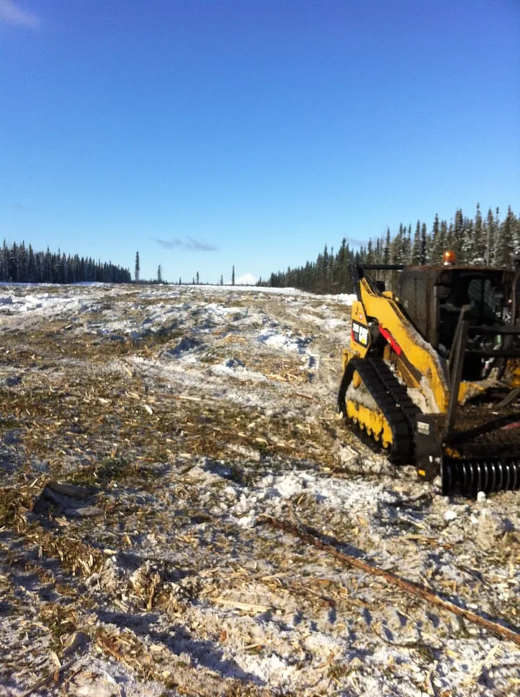 Professional yard maintenance with custom design across Anchorage, AK - Greatland Tree Service