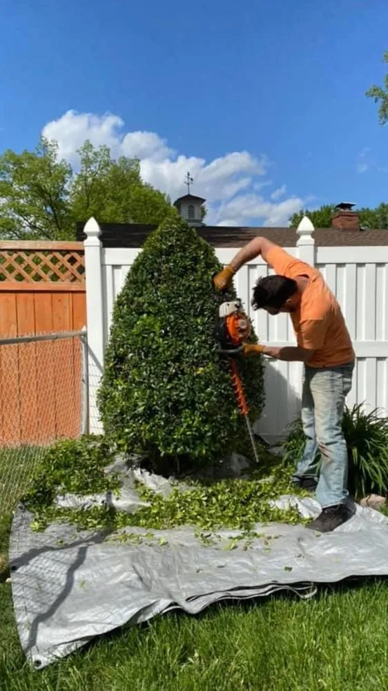 Professional lawn mowing service for residential properties in St. Louis, MO by Greatlawns