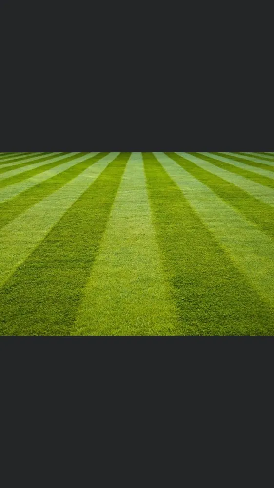 Reliable outdoor landscaping in St. Louis, MO - Greatlawns