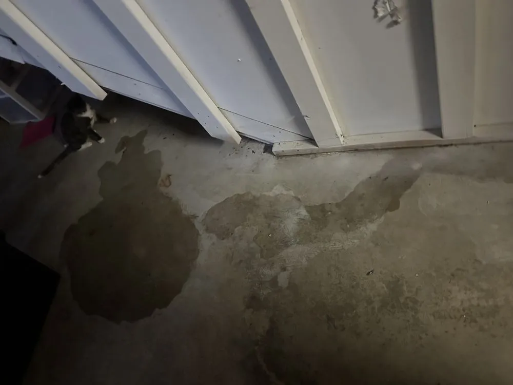 Professional yard cleanup service for year-round maintenance in St. Louis, MO by Greatlawns