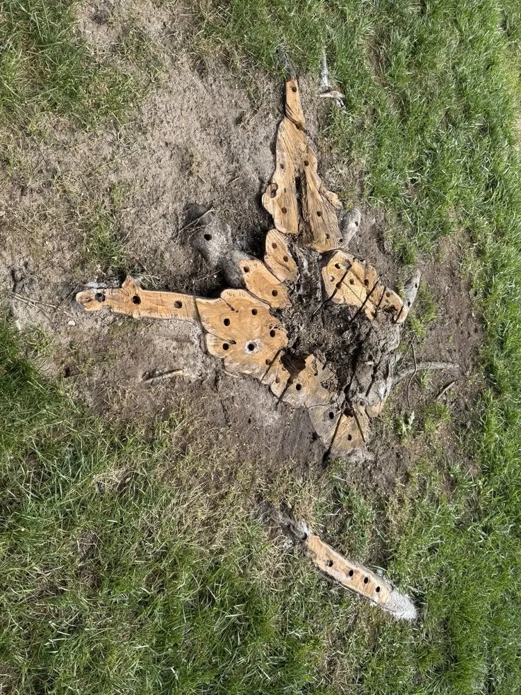 Expert yard cleanup service for homes across St. Louis, MO - Greatlawns