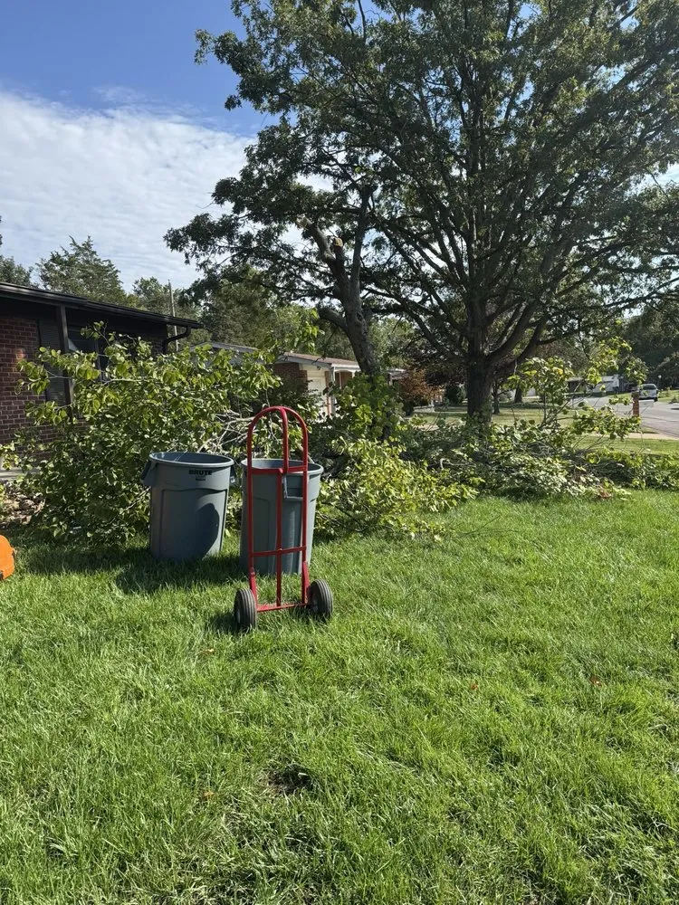 Expert yard cleanup service for outdoor upgrades in St. Louis, MO by Greatlawns