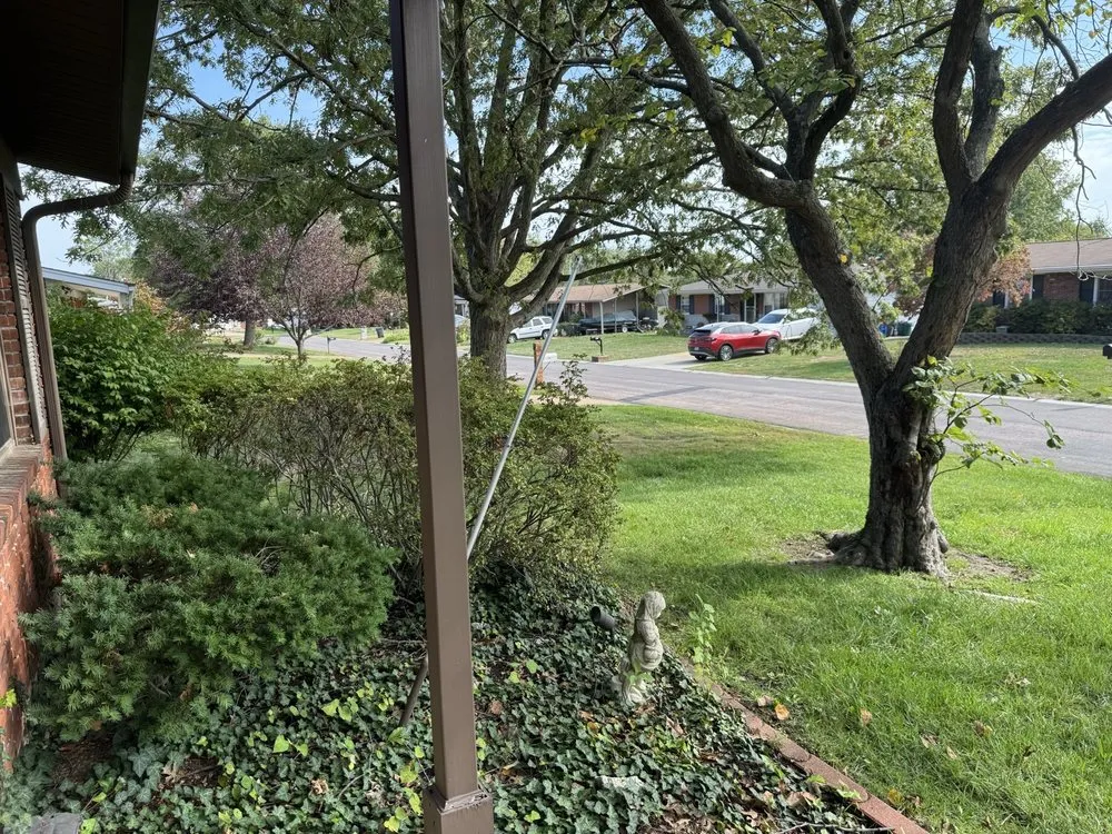 Affordable landscape design for beautiful yards in St. Louis, MO by Greatlawns