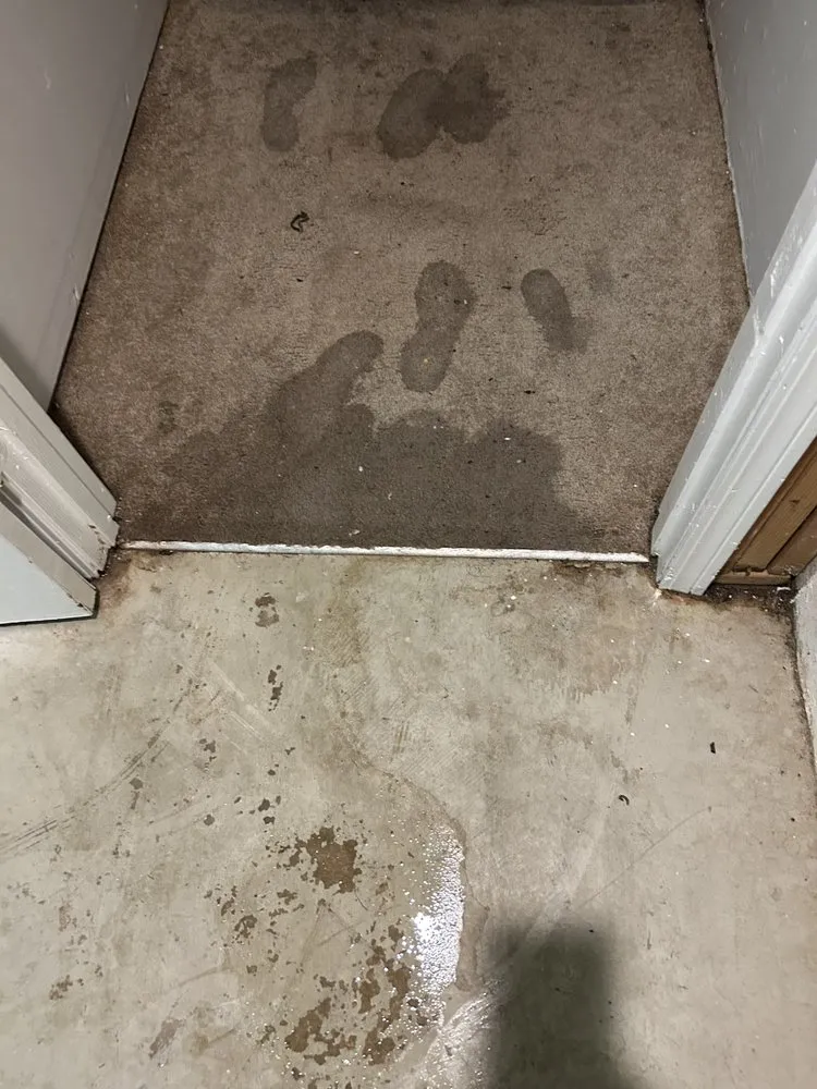 Custom lawn care service in St. Louis, MO by Greatlawns