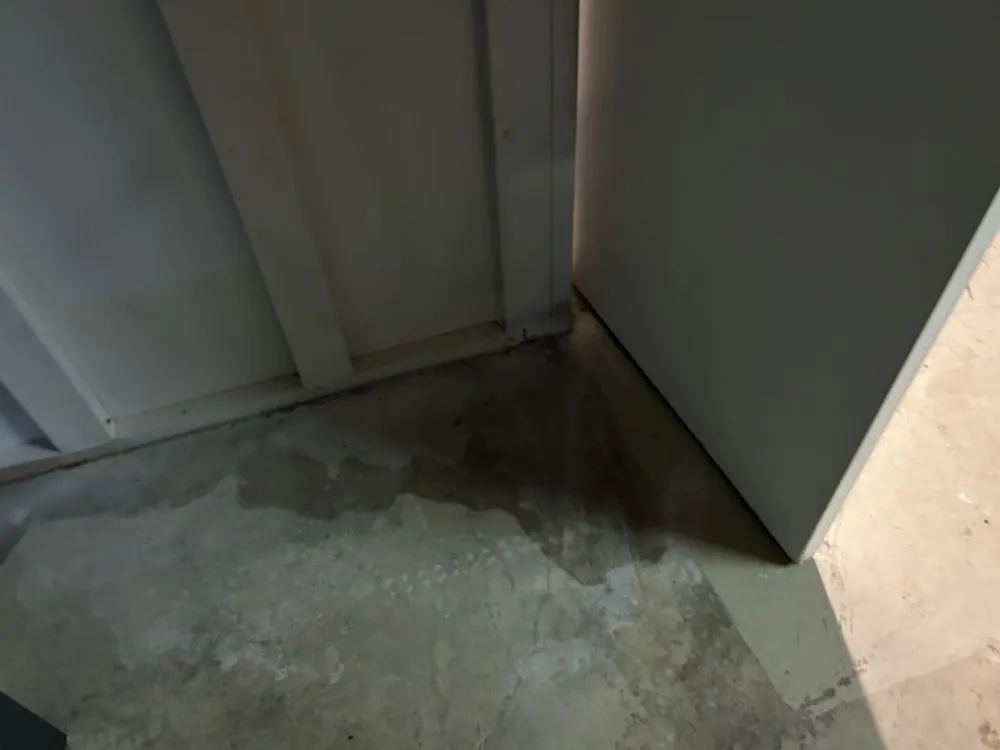 Trusted residential landscaping in St. Louis, MO - Greatlawns