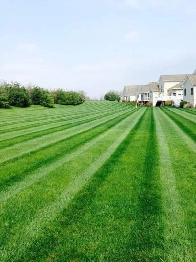 Top-rated yard cleanup service near you across Hamburg, PA - Greatscapes