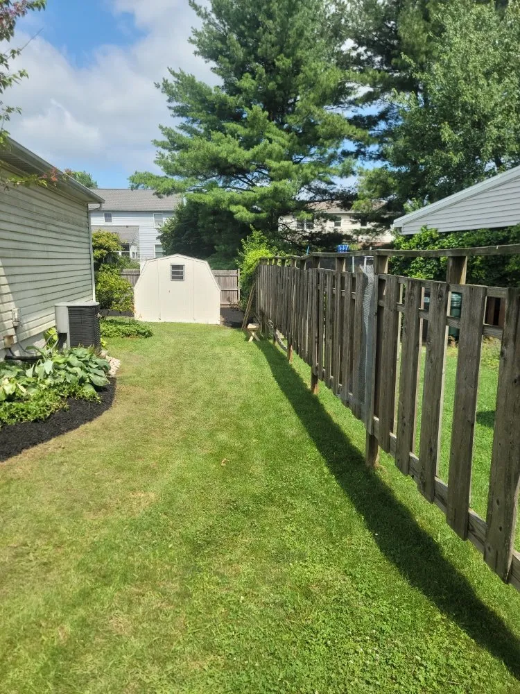 Top-rated yard cleanup service in Hamburg, PA - Greatscapes
