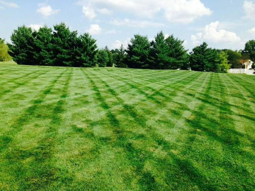 Top-rated lawn care service experts serving Westerville, OH - Greatscapes Landscape