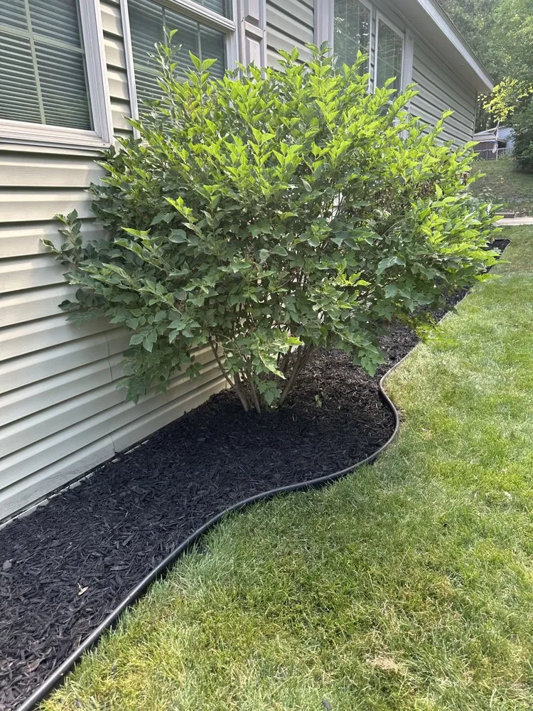 Custom lawn mowing service experts serving Gowen, MI - GreatScapes Lawn Professions