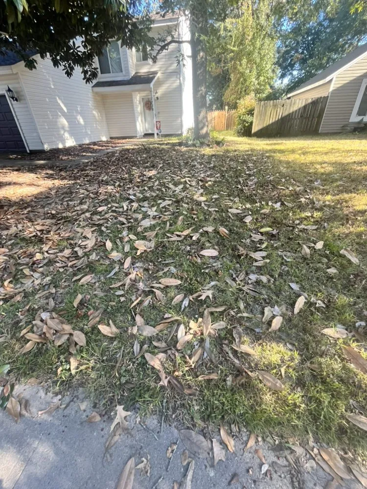 Custom residential landscaping near you across Virginia Beach, VA - Greatscape’s Yard Maintenance Professionals