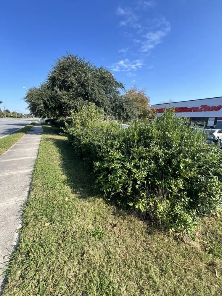 Top-rated garden landscaping in Virginia Beach, VA - Greatscape’s Yard Maintenance Professionals