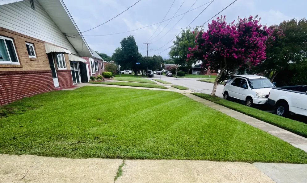 Reliable landscape installation for outdoor upgrades across Virginia Beach, VA - Greatscape’s Yard Maintenance Professionals